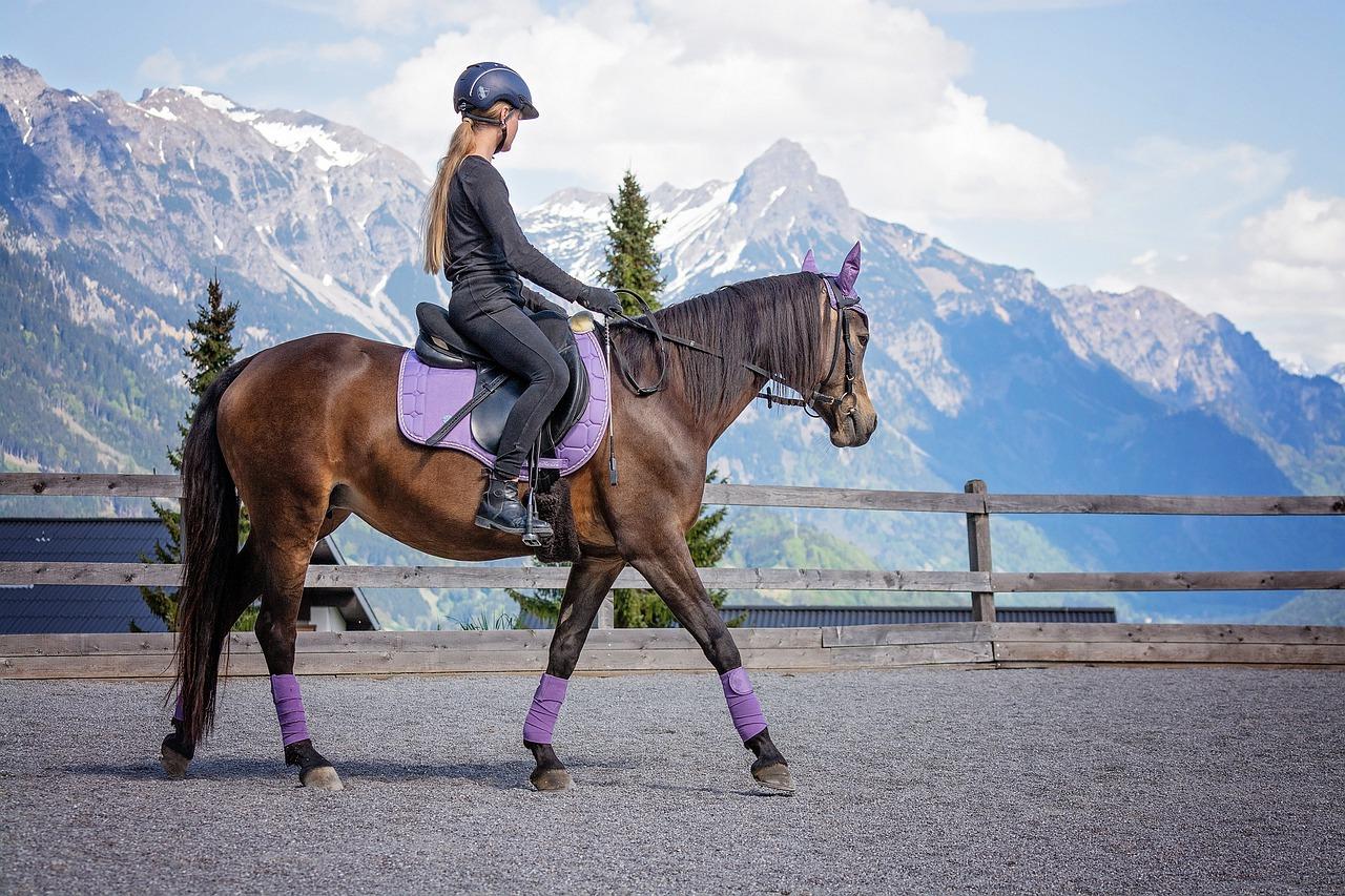 Read more about the article Reitsport – Vorbereitung auf Turniere