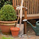 Wie du einen Garten in deinem Hinterhof anlegen kannst