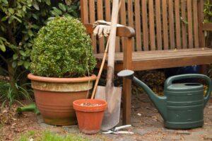 Read more about the article Wie du einen Garten in deinem Hinterhof anlegen kannst